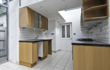 Charleshill kitchen extension leads